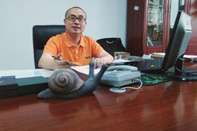 高效，安全，質量，是我對勁浪科技唯有的印象